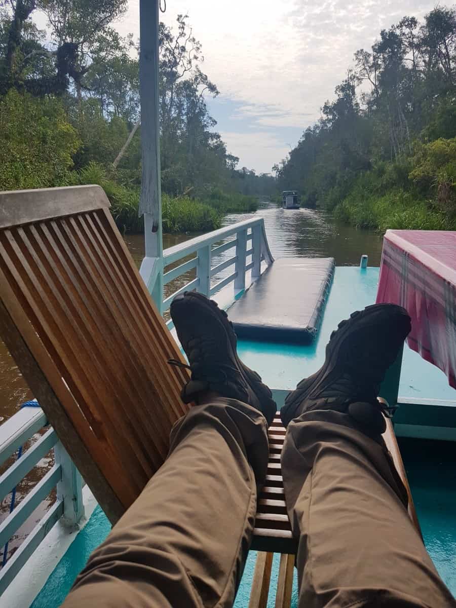 orangutangene i kalimantan